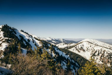 Dağlar, kardaki kozalaklı orman, ilkbahar, kış