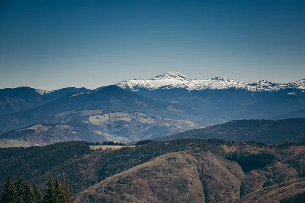 Snötäckta berg, avskogning och barrskog, vår, vinter — Stockfoto