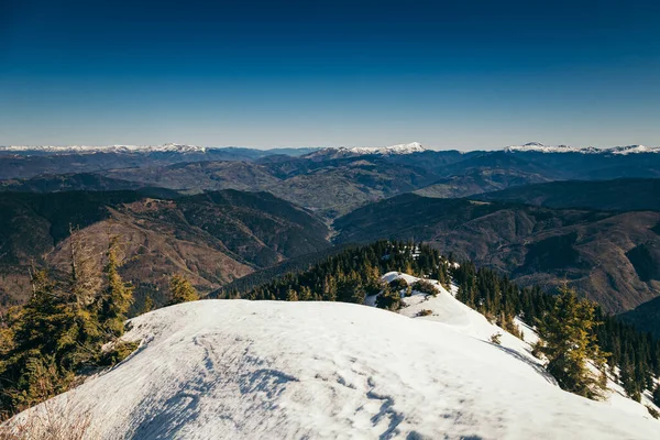 Berg, barrskog i snön, avskogning, vår — Stockfoto