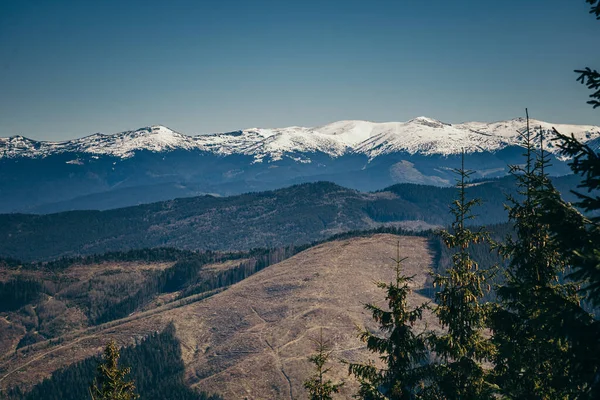 Schneebedeckte Berge, Wiesen und Nadelwälder, Frühling, Winter — Stockfoto