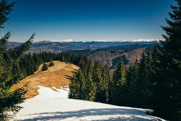 春冬白雪覆盖的高山、草地和针叶林 — 图库照片