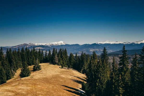 Met sneeuw bedekte bergen, weiden en naaldbossen, lente, winter — Stockfoto