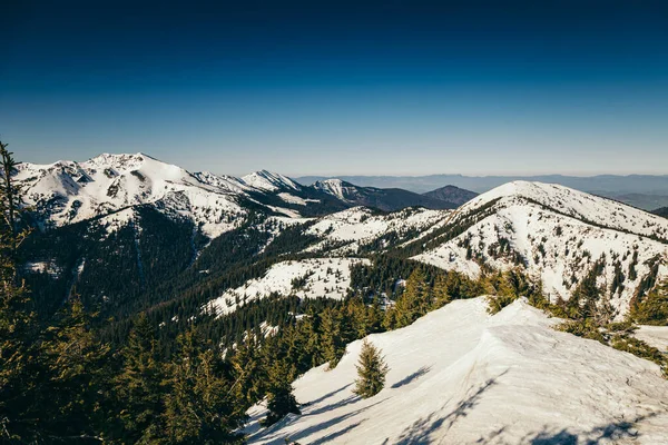 Winterberge Reste von Schnee, Frühling, Nadelwald — Stockfoto