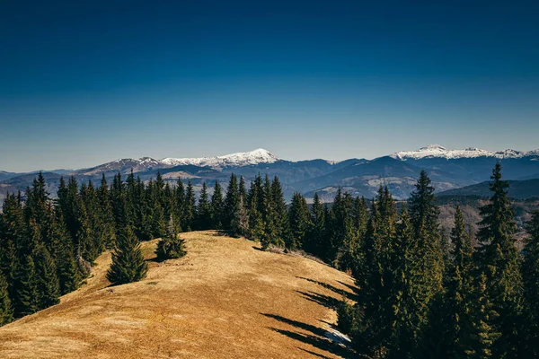 Met sneeuw bedekte bergen, weiden en naaldbossen, lente, winter — Stockfoto