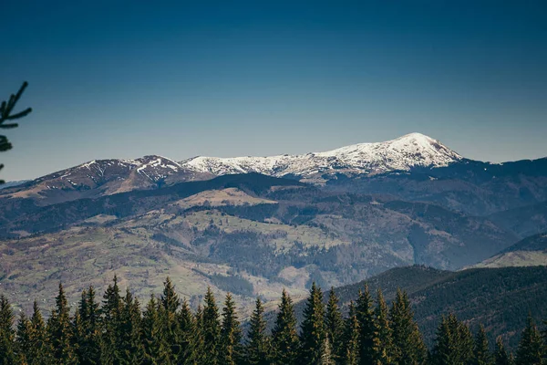 Snötäckta berg, avskogning och barrskog, vår, vinter Stockfoto