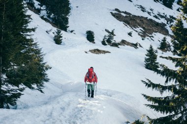 Dağlardaki karlı yol, kozalaklı orman, bahar