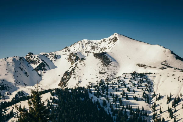 Χιόνι χειμερινών βουνών, κωνοφόρα δάση, άνοιξη, χιονισμένη κορυφή — Φωτογραφία Αρχείου