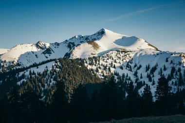 Karla kaplı dağlar ve kozalaklı orman, kış ve bahar