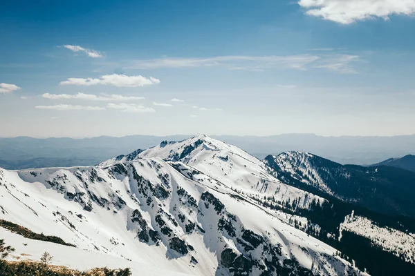 Sneeuw in de bergen, naaldbos, lente en winter — Stockfoto