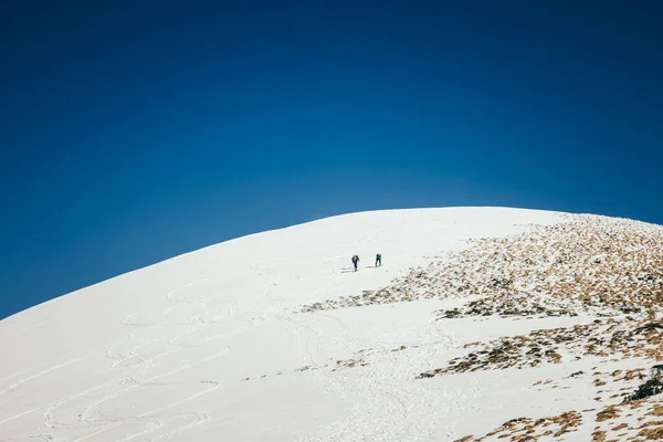 Dağlarda kar, kozalaklı orman, bahar ve kış — Stok fotoğraf