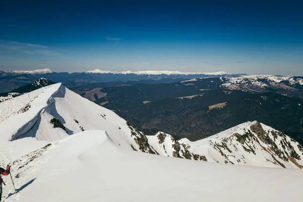 Snö i bergen, barrskog, vårblå himmel — Stockfoto