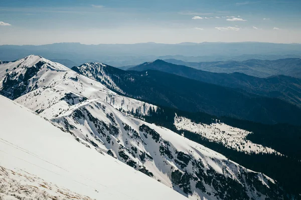 Neige en montagne, forêt de conifères, printemps et hiver — Photo