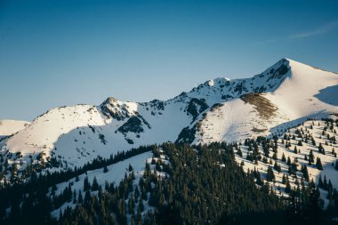 Karla kaplı dağlar ve kozalaklı orman, kış ve bahar