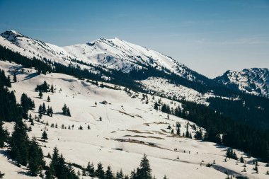 Dağlarda karla kaplı zirveler ve karla kaplı çayırlar, ilkbahar