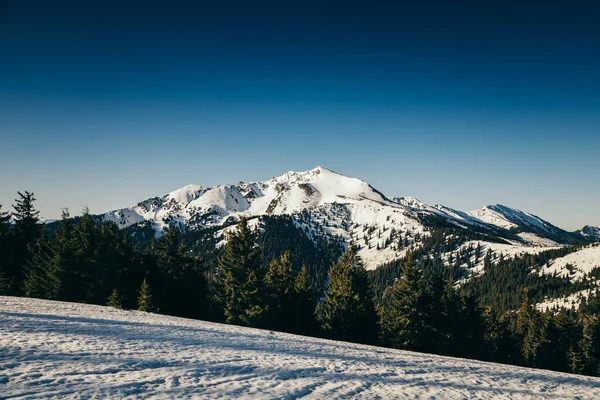 Kış dağları kar, kozalaklı orman, bahar, karlı zirve — Stok fotoğraf