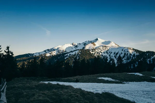 Verschneite Lichtung, verschneite Berge und Nadelwald im Hintergrund — Stockfoto