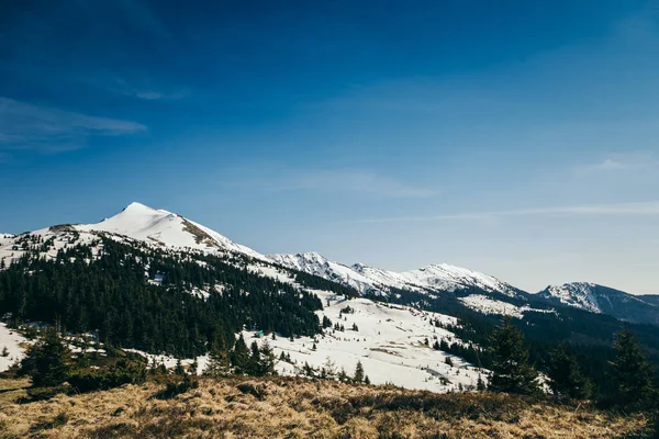 Schneebedeckter Gipfel in den Bergen, Nadelwald, Frühling — Stockfoto