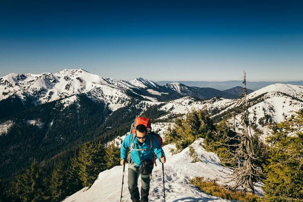 Hiver montagne, neige forêt de conifères, ciel bleu, printemps — Photo