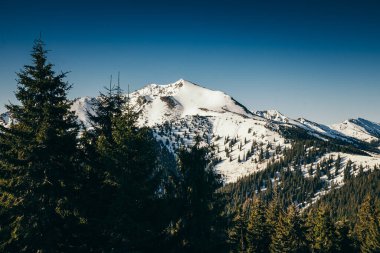 Karda kış dağları, kozalaklı orman, bahar, karlı zirve.
