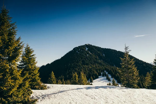Téli hegyek, hó tűlevelű erdő, kék ég, tavasz — Stock Fotó