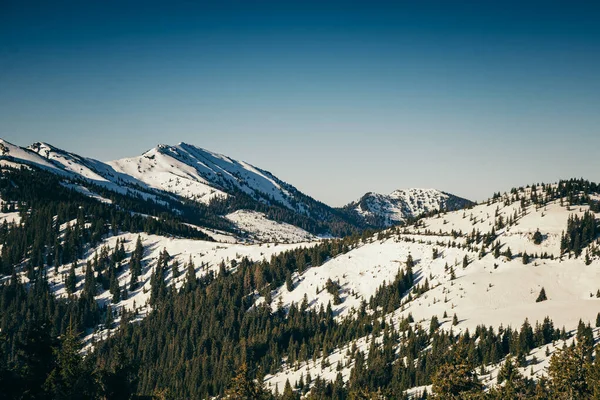 Montagne invernali neve, bosco di conifere, primavera, vetta innevata Foto Stock