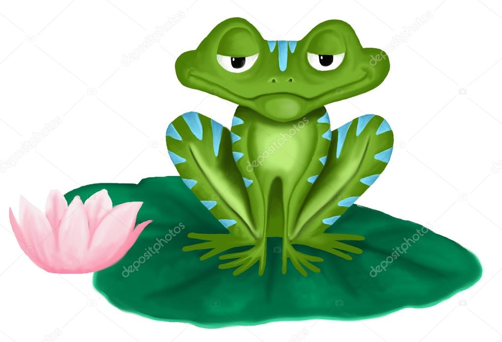 Green frog on white background