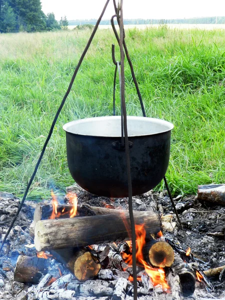 Nature, fire, firewood, heat — Stock Photo, Image