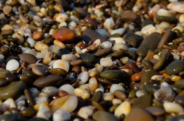 Guijarros, piedra, en, suave, playa, al aire libre, mar — Foto de Stock