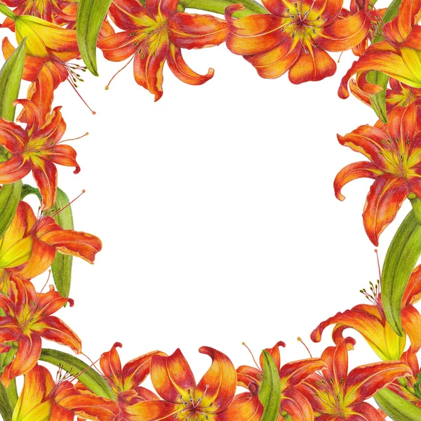 Frame of lilies — Stock Photo, Image