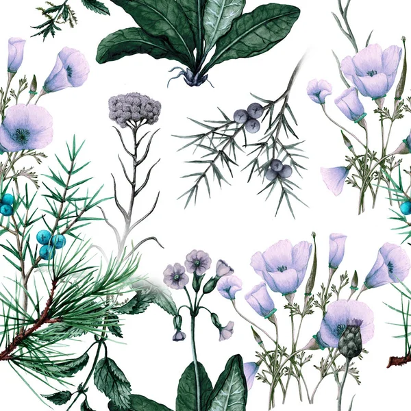 Ręcznie Rysowany Bezszwowy Wzór Dzikich Kwiatów Roślin — Zdjęcie stockowe