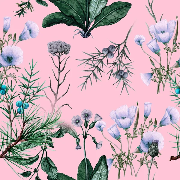 Ručně Kreslené Bezešvé Vzor Volně Rostoucích Květin Rostlin — Stock fotografie