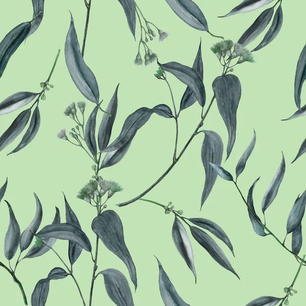 Nahtloses Botanisches Muster Von Eukalyptus — Stockfoto
