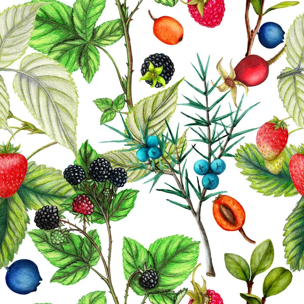 Botanical Repeat Pattern Hand Drawn Berries — Zdjęcie stockowe