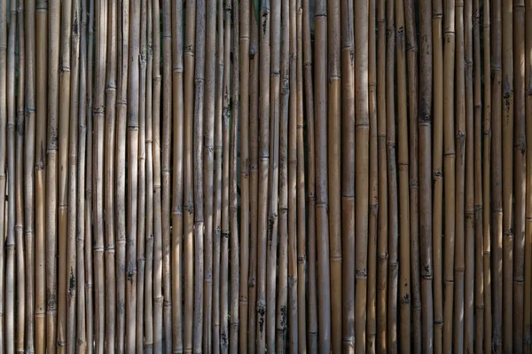 Бамбуковая Текстурированная Стена Фон Вертикальный — стоковое фото