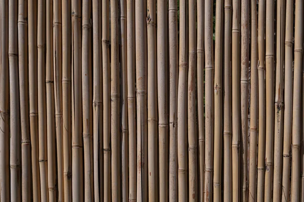 背景垂直としての自然な詳細な竹の質感の壁 — ストック写真