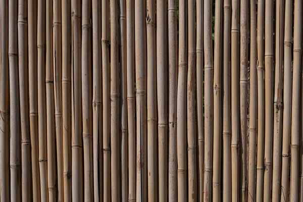 Parede Texturizada Bambu Detalhado Natural Como Fundo Vertical — Fotografia de Stock