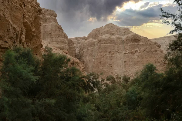 Ορεινά Τοπία Στο Φαράγγι Του Ποταμού Στην Έρημο Της Ιουδαίας — Φωτογραφία Αρχείου