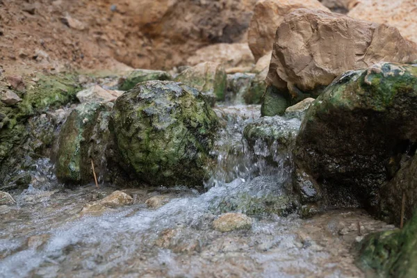 Creek Ein Bokek Pustyni Judejskiej Izraelu — Zdjęcie stockowe