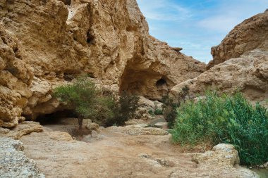 Creek Ein Bokek in the Judean desert in Israel clipart