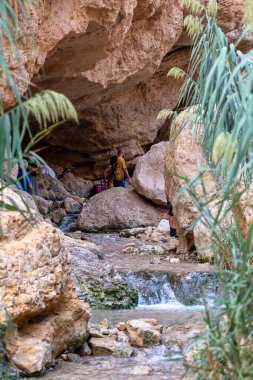Ein Bokek deresi İsrail 'deki Yahudi çölünde