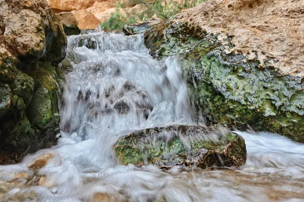 Creek Ein Bokek Dans Désert Judée Israël — Photo