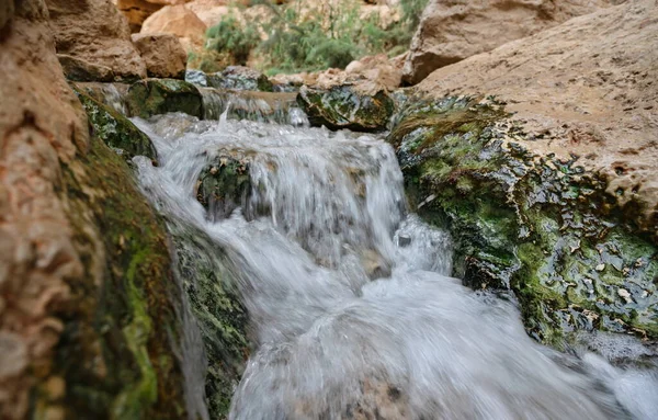 Creek Ein Bokek Judean Desert Israel — Stock Photo, Image