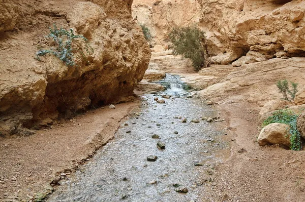 Creek Ein Bokek Nel Deserto Della Giudea Israele — Foto Stock