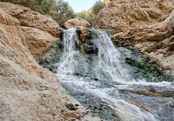 Creek Ein Bokek Deserto Judéia Israel — Fotografia de Stock