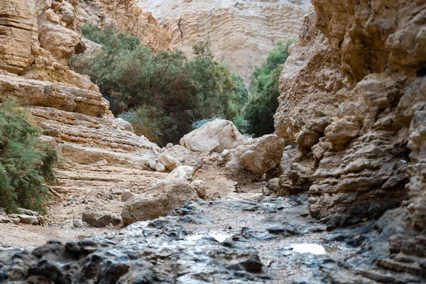 Ein Bokek Deresi Srail Deki Yahudi Çölünde — Stok fotoğraf