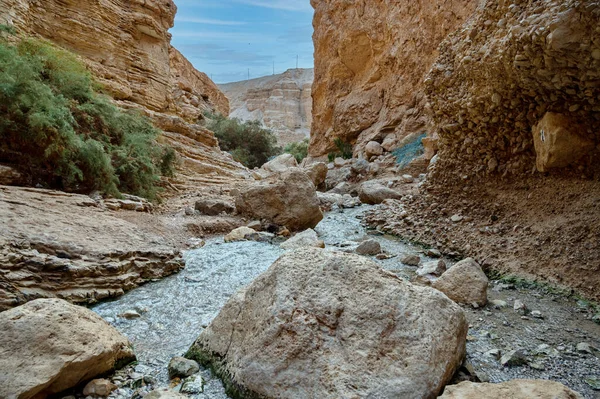 Creek Ein Bokek Judese Woestijn Israël — Stockfoto