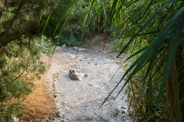 Creek Ein Bokek Dans Désert Judée Israël — Photo