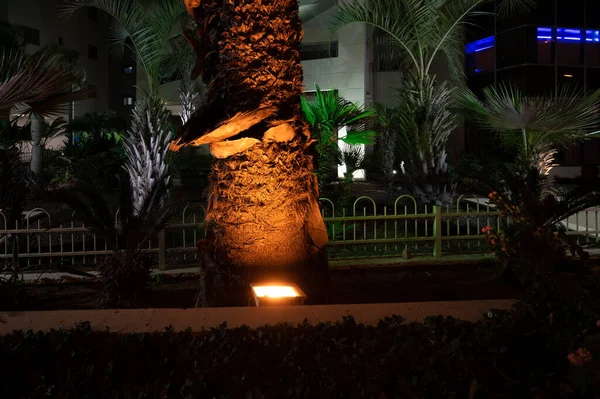 Netanya, İsrail - 23 Eylül 2021: Sderot Oved Ben Ami sokak akşamı deniz kenarındaki oteller