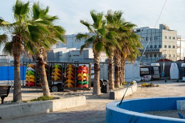 İsrail, Hayfa - 3 Aralık 2021: Güneşli bir günde Hayfa 'da yelken okulu.