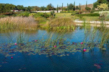 Tel Aviv, İsrail - 26 Kasım 2021 Ariel Sharon Park ekolojik